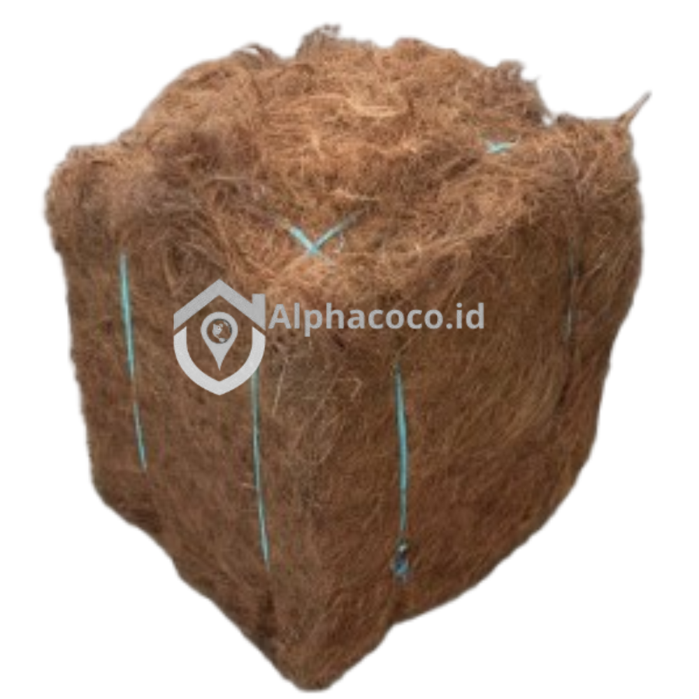 alphacocoid (7)